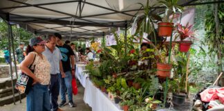 Emprendedores de Xalapa ofrecen sus mejores productos en el Mercadito Bicentenario