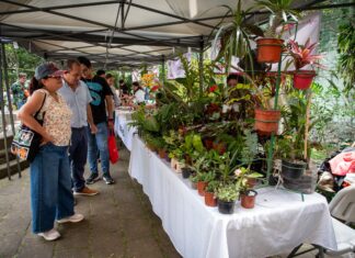 Emprendedores de Xalapa ofrecen sus mejores productos en el Mercadito Bicentenario