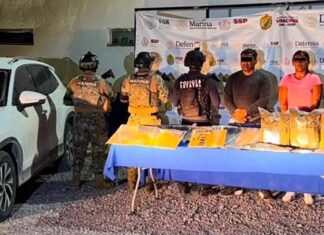 Cuatro presuntos integrantes de grupos delincuenciales detenidos por fuerzas de seguridad federales, estatales y municipales