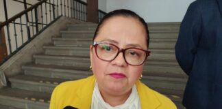 Daniela Griego sostiene reunión con la gobernadora para analizar hechos de violencia en Xalapa