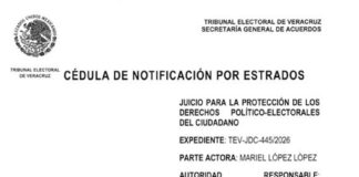TEV ordena a funcionarios de Coatepec transparentar información solicitada por regidora.