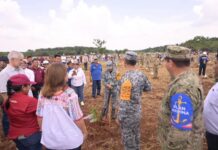 Reforestar donde duele.