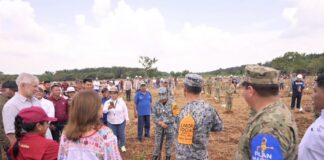 Reforestar donde duele.