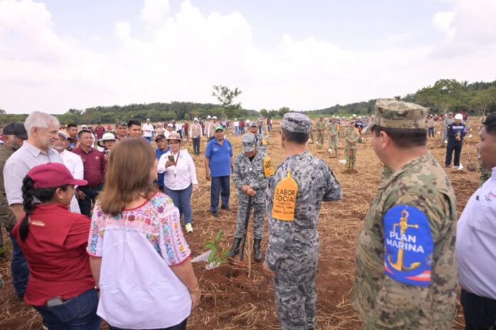 Jornada de reforestacion Veracruz 2