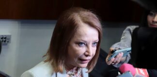 Recibirá Senado propuestas sobre Ley General en materia de feminicidio: Laura Itzel Castillo