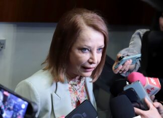 Recibirá Senado propuestas sobre Ley General en materia de feminicidio: Laura Itzel Castillo
