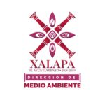 En Rincón de la Marquesa hubo retiro de árboles por representar riesgos; no es tala ilegal