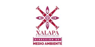 En Rincón de la Marquesa hubo retiro de árboles por representar riesgos; no es tala ilegal