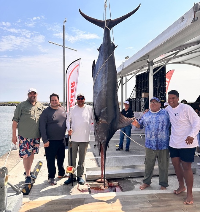 Marlin torneo de pesca