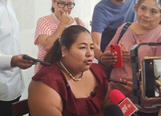 Rescatistas demandan “Protocolo Milagro” para casos de maltrato animal en Xalapa.
