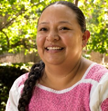 La guerra no declarada contra los pueblos originarios de México