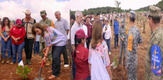 Veracruz se suma a la Jornada Nacional de Reforestación con 370 mil plantas en Acayucan