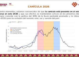 Periodo de canícula incrementa riesgo de incendios forestales y de pastizal en Veracruz