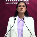 Morena abre proceso contra diputadas Salvatori y Palomares por dichos sobre adultos mayores.