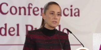 Presidenta Sheinbaum prepara blindaje para reactivar exportaciones de aguacate a EU