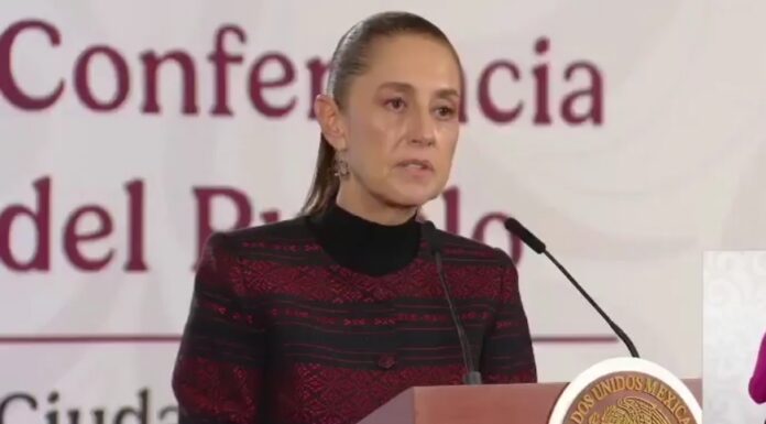 Presidenta Sheinbaum prepara blindaje para reactivar exportaciones de aguacate a EU