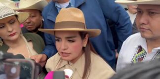 Grecia Quiroz llevará defensa de candidaturas independientes hasta la vía internacional si SCJN avala candados en Michoacán