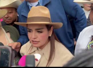 Grecia Quiroz llevará defensa de candidaturas independientes hasta la vía internacional si SCJN avala candados en Michoacán