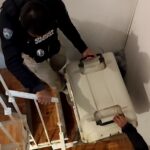 Rescatan a perros y un gato de presunto maltrato en la colonia Santa Rosa en Xalapa