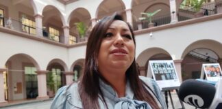 Resguarda el Ayuntamiento de Xalapa a ocho perros tras el reporte del presunto maltrato animal