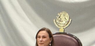 ¿SERÁ NAHLE, LA ELECTORA?