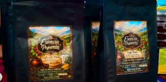 #Veracruz: Foros Regionales de Café trazan una ruta para preservar la cultura cafetalera