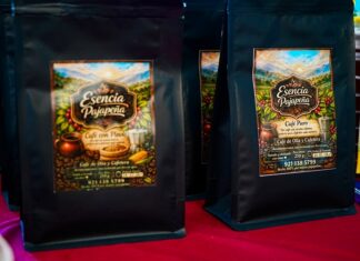 #Veracruz: Foros Regionales de Café trazan una ruta para preservar la cultura cafetalera