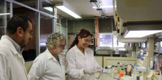 Aunque dañina para la salud, la nicotina podría contrarrestar enfermedades neurodegenerativas