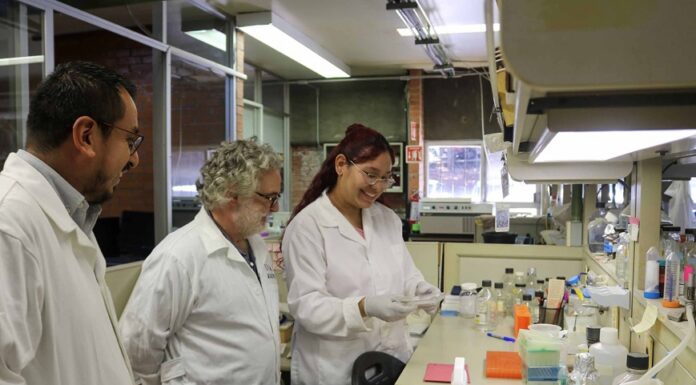 Aunque dañina para la salud, la nicotina podría contrarrestar enfermedades neurodegenerativas