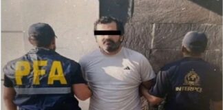 Claudia Sheinbaum prevé traslado de Fernando Farías a México