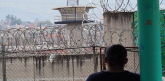 Liberan a 17 mujeres privadas de la libertad en Jalisco tras revisión de expedientes con perspectiva de género.