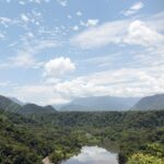 En un año, Sedema atendió más de 7 mil kilómetros del Área Natural Protegida Metlac-Río Blanco