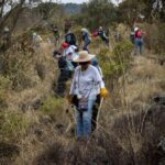 Desaparecer en el Ajusco: una radiografía de la violencia