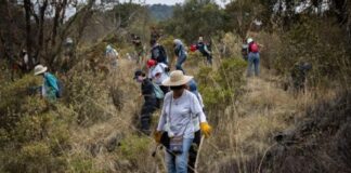 Desaparecer en el Ajusco: una radiografía de la violencia