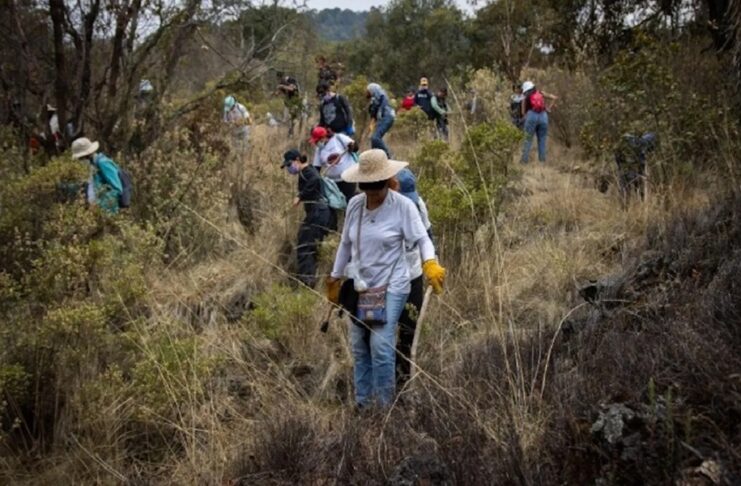 Desaparecer en el Ajusco: una radiografía de la violencia