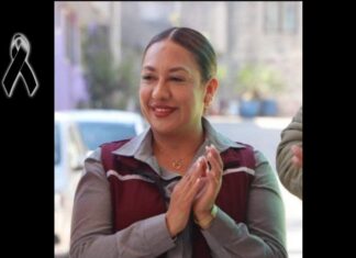 Anay Beltrán Reyes, diputada federal de Morena, fallece a los 44 años