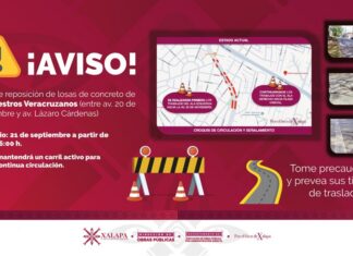 Este lunes inician trabajos de obra pública sobre Maestros Veracruzanos