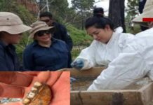 Polémica por presunto hallazgo de mil 600 dientes infantiles en Zacapu; Fiscalía de Michoacán dice no tener registro