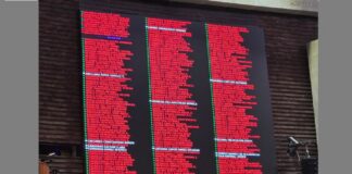 Diputados aprueban en lo general reforma que restringe doble nacionalidad para Presidencia y gubernaturas