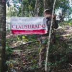 Clausura Profepa predio en Coatepec por derribo y aprovechamiento forestal sin permisos