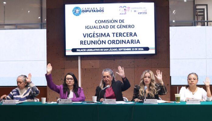 Comision de Igualdad Camara diputados