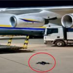 Alemania acusa a Rusia por intrusión de dron explosivo en aeropuerto de Leipzig