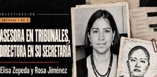 Elisa Zepeda y Rosa Jiménez: el litigio privado dentro de la nómina pública