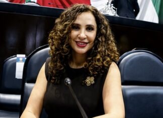 Gina Campuzano presenta iniciativa para prohibir dispositivos que facilitan el “robo silencioso” de automóviles