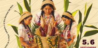 Festival Guardianas del Maíz, homenaje a la diversidad y riqueza culinaria de Veracruz