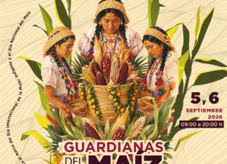 Festival Guardianas del Maíz, homenaje a la diversidad y riqueza culinaria de Veracruz