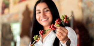 Vive Veracruz a través de sus comunidades y tradiciones