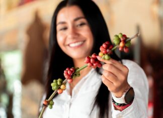 Vive Veracruz a través de sus comunidades y tradiciones