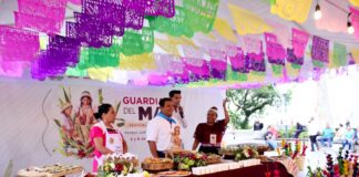 32 mil 610 personas celebraron la riqueza gastronómica y cultural del maíz en Xalapa