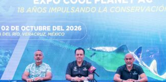 Veracruz sede del Congreso Latinoamericano sobre Peces Marinos y la Expo Cool Planet